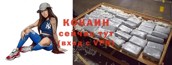 крисы Дмитров