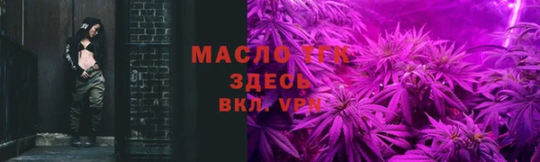 крисы Дмитров