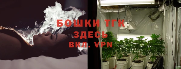 дмт Дмитриев