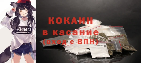 дмт Дмитриев