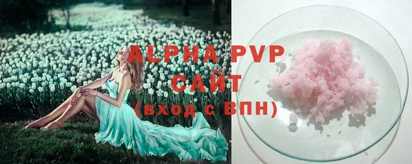 крисы Дмитров