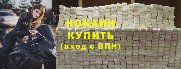 дмт Дмитриев